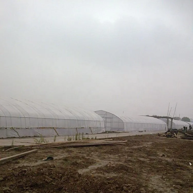 High quality and Portable Single-Span Agricultural Greenhouse