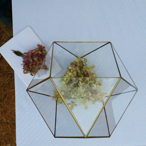 Đám Cưới Phong Bì Chủ Cho Hình Học Terrarium Glass Terrarium <span class=keywords><strong>Conservatory</strong></span> Deco Đồng Hình Chữ Nhật - Product Image 4