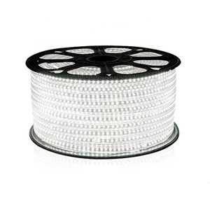 AC120V or 240V 100 M LED Strip <strong>Light</strong> With Color Change - Product Image 5