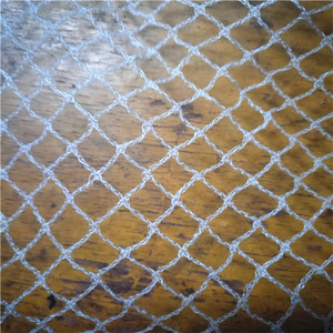 110/2D Nylon nebeln etz Vogel fang Vogel netz PE-Material Hochleistungs-Anti-Vogel-Netz zum Schutz der Ernte - Product Image 2