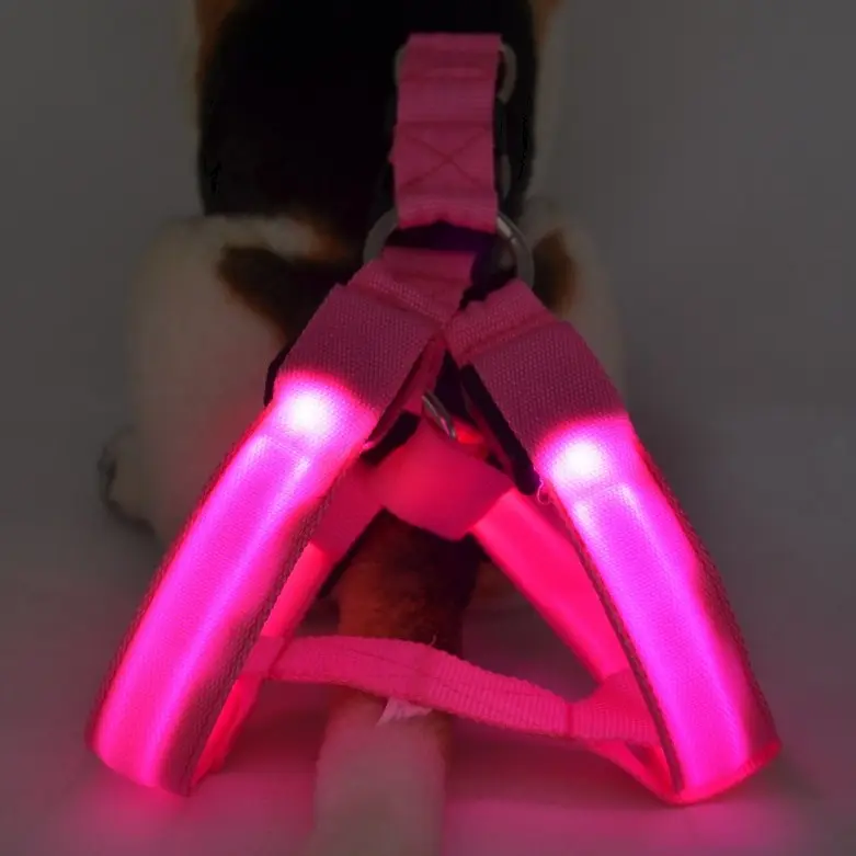 Yeni toptan naylon güvenlik Pet köpek koşum kemeri Glow LED flaş yanıp sönen ışık Up tasma urgan led köpek demeti Pet köpek