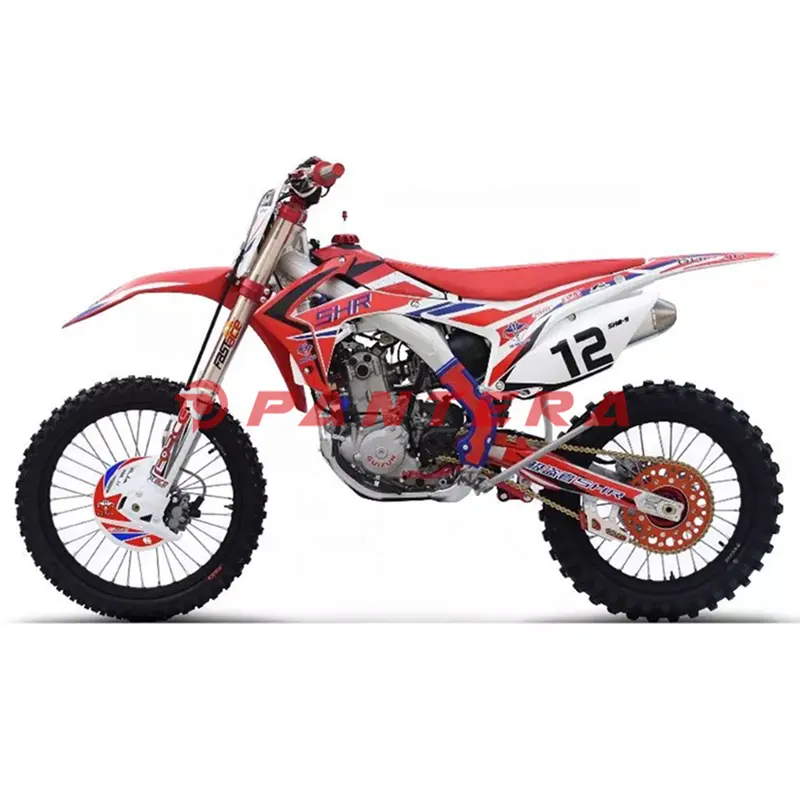 Anteriore e Posteriore Freno A Disco 300cc Raffreddato Ad Acqua Off Road Moto