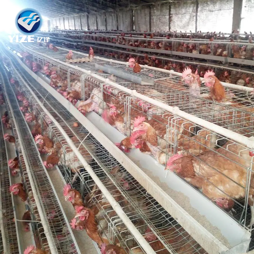 China fabricante gaiolas de galinha em camadas hens cantdong