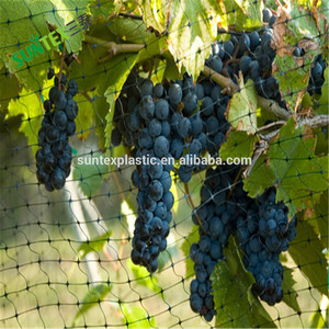 China Factory Produced <strong>Cheap</strong> Bird <strong>Netting</strong>,Bop Stretch Net for Breeding,Extruded Plastic Net - Product Image 2