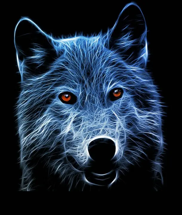 Pintura de diamante artística DIY de ojos brillantes de lobo azul, diseño ruso, novedad de 2017