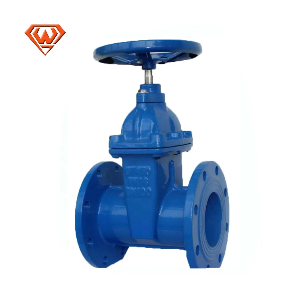 Algemene Casting Stem Cameron Fc 1/2 Gate Valve DN100 PN16 3, 4, 12, 16 Inch Gietijzeren Duitse Gate Valve Voor Gas Water Olie