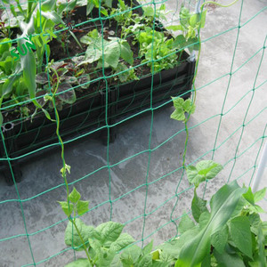 Polietilen plastik acı kabak destek ağı, tarım sebze bitkileri kafes örgü, yeşil ve beyaz tırmanma netleştirme - Product Image 6
