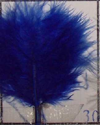 Bleu royal