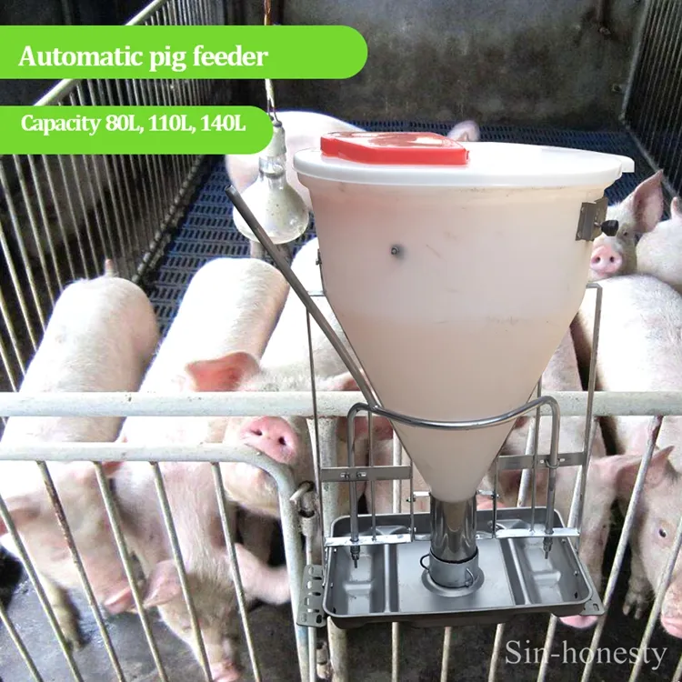 Automatic Hog Pig Dry Wet Feeder for Sale for Pigs