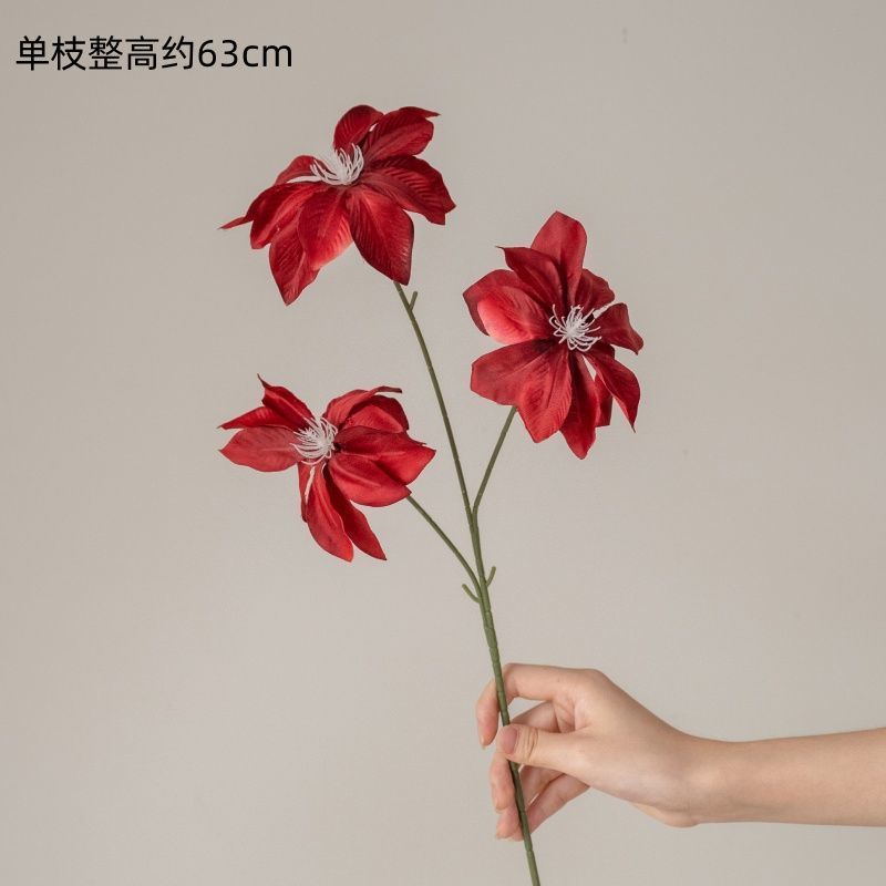 Lotus Diamant Rouge (tige unique)