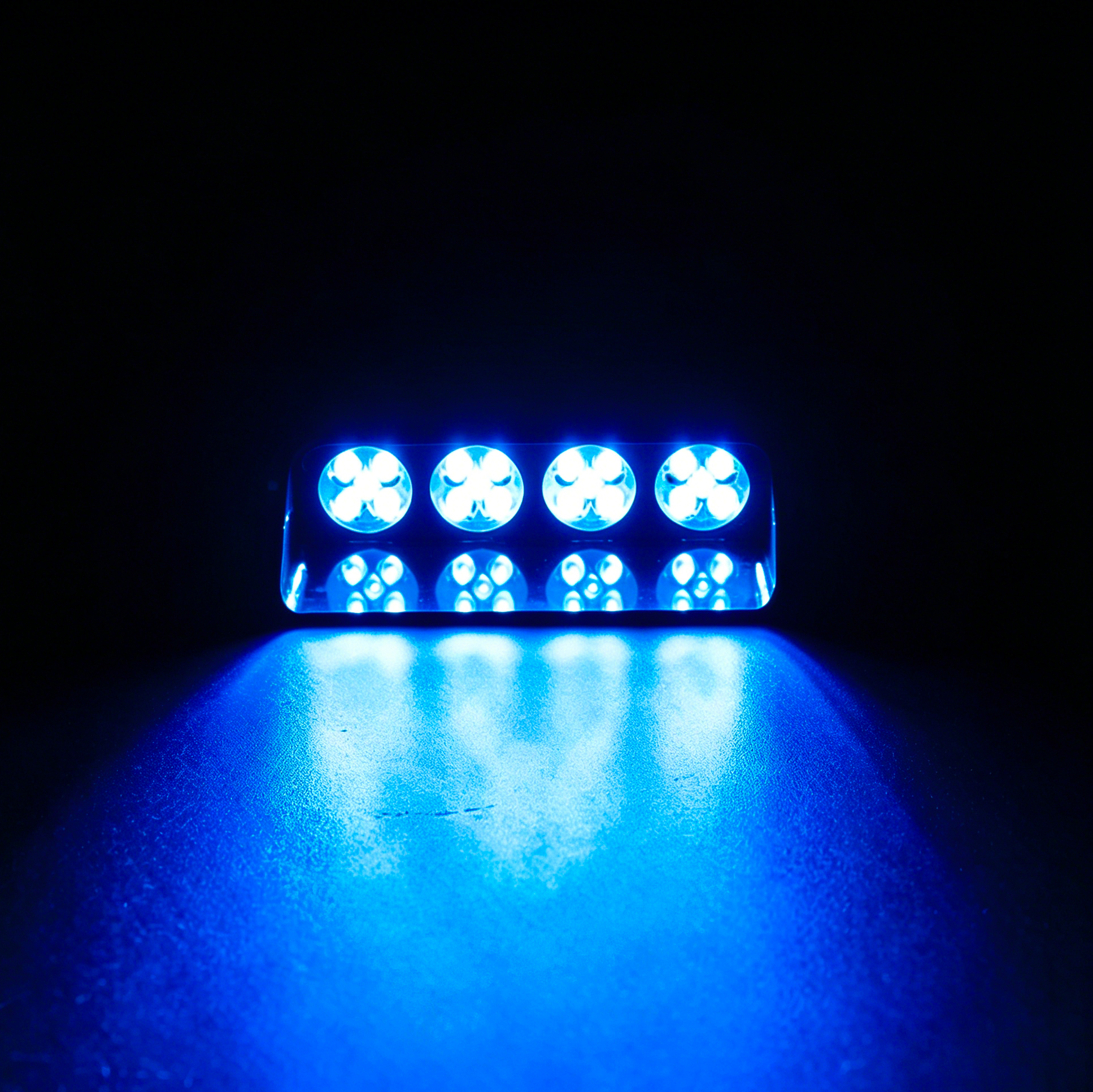 Bleu