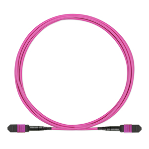 OM3/OM4/OM5 MTP MPO in fibra ottica Patch Cord SM/MM/OM3/OM4/OM5 Multi Fiber Jumper per rete Telecom 5G - Product Image 2