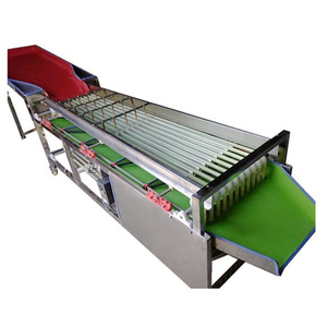 Date di vendita calda macchina di smistamento di smistamento dimensionamento macchina motore frutta oliva nuovo prodotto 2020 fornito 100 ad alte prestazioni - Product Image 3