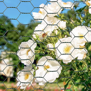 Red de alambre hexagonal galvanizada de doble torsión directa de fábrica para aplicaciones eléctricas de jaulas de pollo - Product Image 4