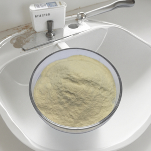 ผงโปรไบโอติก BB67 bifidum ที่มีฤทธิ์สูงสำหรับอาหารเสริมเพื่อสุขภาพ BB67 bifidum - Product Image 1