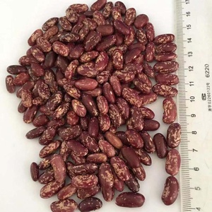 おいしい赤斑点豆ライト赤インゲン豆卸売