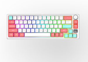 OUSAID DK67 <strong>Keyboard</strong> 60% RGB Mechanical <strong>Bluetooth</strong> 2.4G <strong>Wireless</strong> Hot Swap Anti Ghosting <strong>Keyboard</strong> Mini Gaming <strong>Keyboard</strong> - Product Image 3