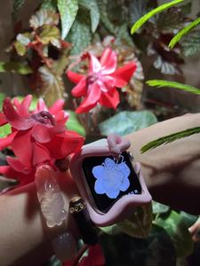 モデルS10/9/8/6/5/4/SE用AppleiWatch用ブラックスネーク保護ケース - Product Image 6