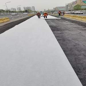 Vải địa kỹ thuật đường lái xe vải cho các dự án xây dựng vải địa kỹ thuật không dệt vải địa kỹ thuật không dệt - Product Image 5