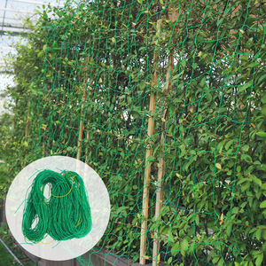 Le piante verdi di alta qualità sostengono la rete netta del traliccio del poliestere per agricoltura il fagiolo del cetriolo che coltiva la rete - Product Image 4