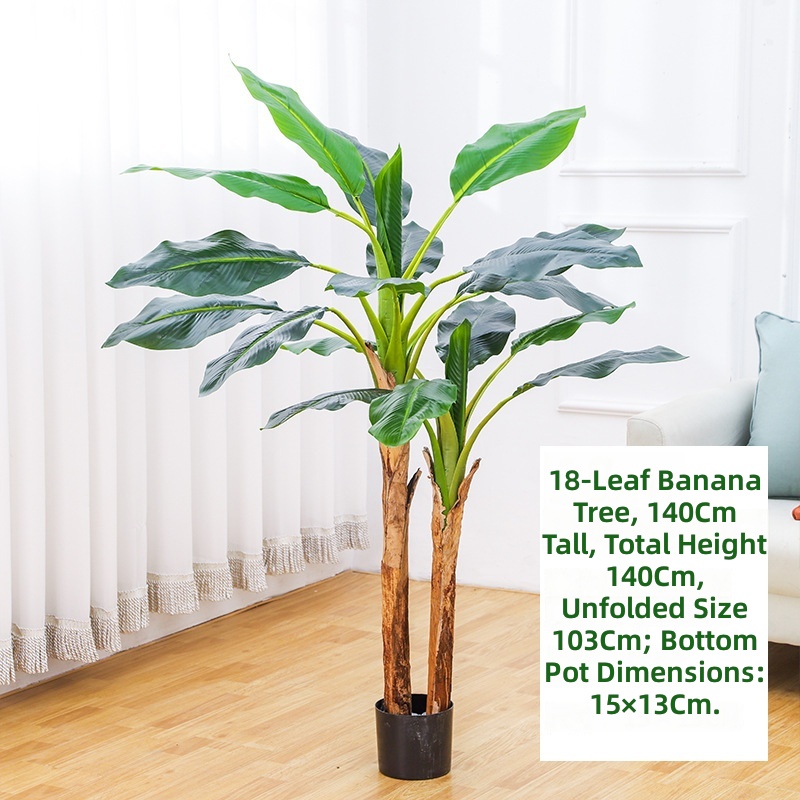 Arbre bananier de taille moyenne