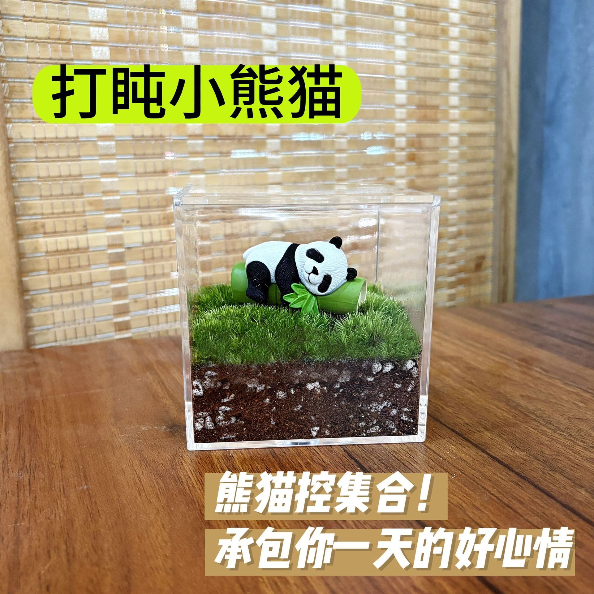 Un panda rojo durmiendo la siesta