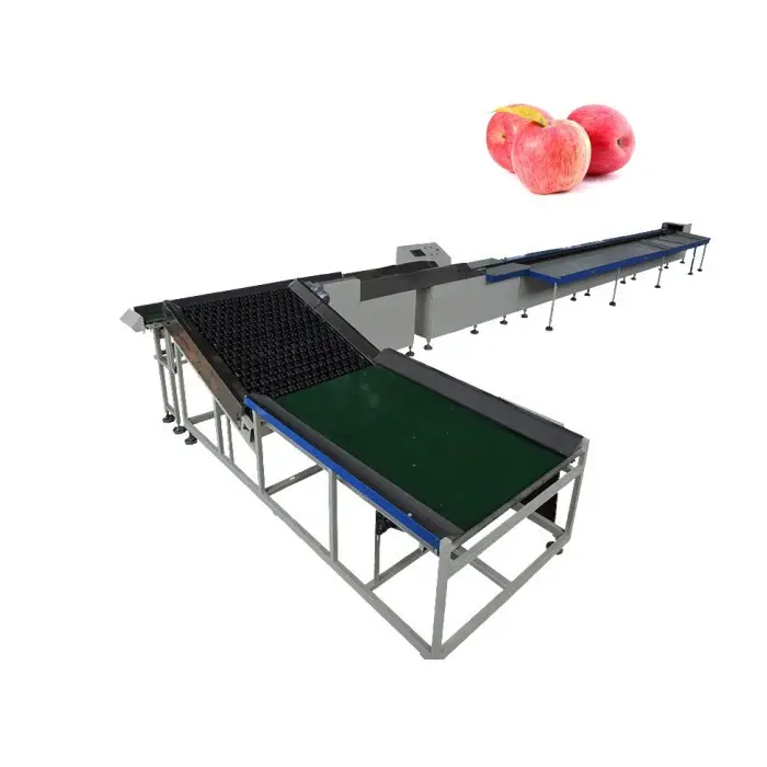 Chine machine de classement de poids de légumes de fruits machine de tri de citron de kiwi