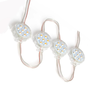 Hot Selling <strong>LED</strong> <strong>Pixel</strong> <strong>Module</strong> Addressable 50mm 24V RGB <strong>Pixel</strong> <strong>LED</strong> IP67 Waterproof for Landscape Lighting Project - Product Image 1
