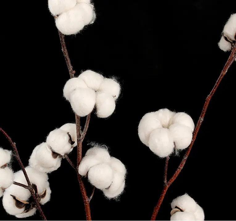 Linter de algodão 100% grau premium para venda Linter de algodão grau premium para venda
