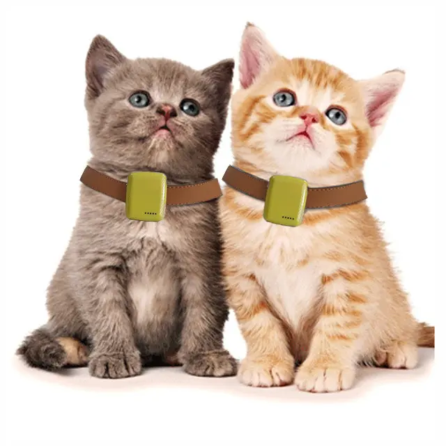 Sıcak satış küçük Gps takip çipi anahtarlık Gps Tracker Pet köpek kedi için