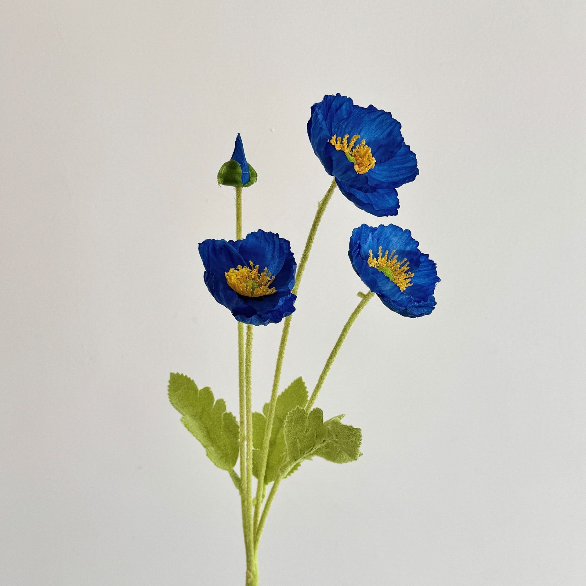 Blu reale