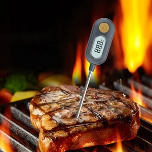 Nova Chegada ABS Display LCD Ímã Uso Doméstico <span class=keywords><strong>Digital</strong></span> Food Termômetro - Product Image 6