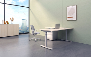 Ergonomic Dual Motor Electric Height Adjustable Stand Fast <strong>Installation</strong> Modern Style Office <strong>Computer</strong> Desk Modular Home Use - Product Image 4