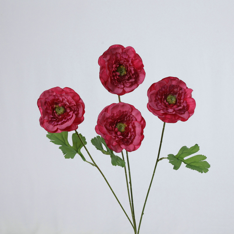 Rose rouge