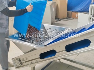 棕榈枣加工线洗涤选择线机出厂价格