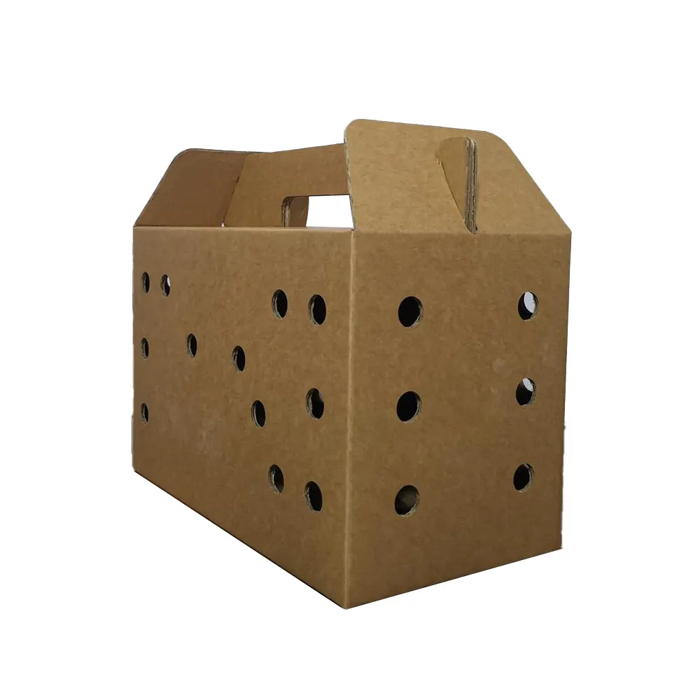 Caixas de transporte para filhotes de papel ondulado com alça para pássaros vivos, papel impresso personalizado para transporte diário