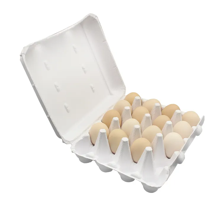 Conception d'emballage d'oeufs eggellent personnalisé Carton d'oeufs à plateau innovant à vendre en gros