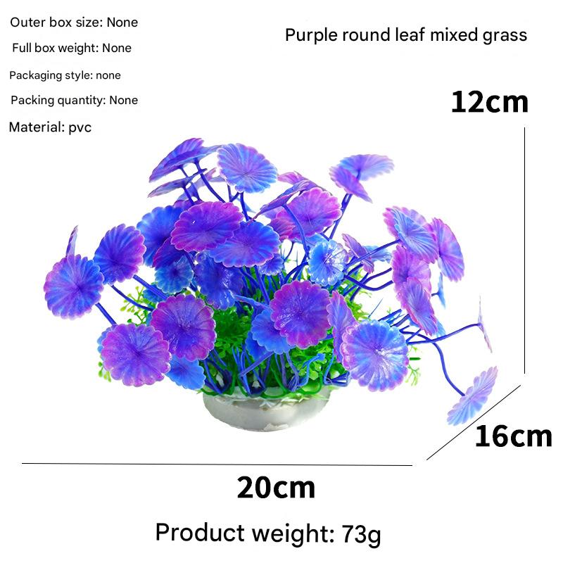 Purple round-leaf mixed grass (12cm)