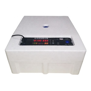 Con lăn khay trứng lồng ấp 16 huevos hoàn toàn tự động 12V & 220V cho gà vịt ngỗng chim cút trong bỉ thị trường - Product Image 6