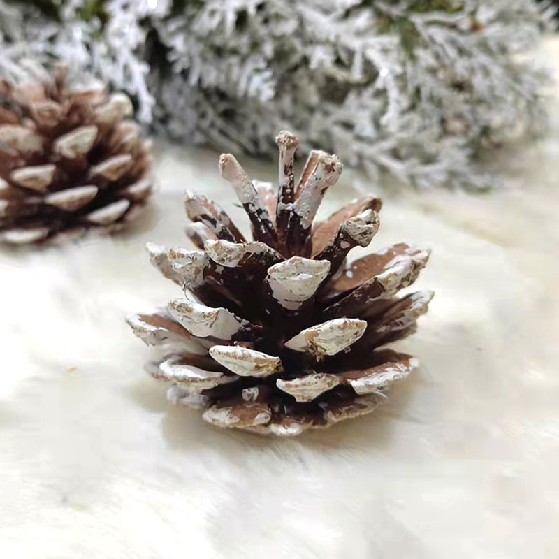 Brun, 5-6 pommes de pin blanches collantes.