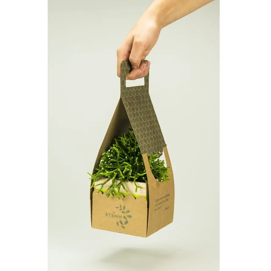 Wholesale High Quality Kraft Optional Printing Shopping bag Paper Bag From Vietnam paper bag