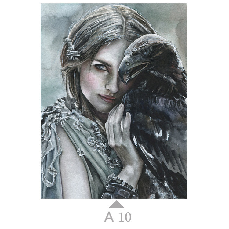 Multicolor-A10