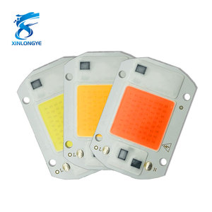 Driverless 20W 30W 50W <strong>LED</strong> COB Lamp Chip Smart AC 110V 220V IC <strong>LED</strong> Beads for <strong>DIY</strong> Floodlight <strong>LED</strong> Modules - Product Image 1