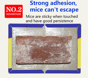 Strong Adhesive <strong>Mouse</strong> Board (21 * 15cm), with Strong Adhesion, Suitable for Home Rodent Control Use,<strong>mice</strong> Control - Product Image 3