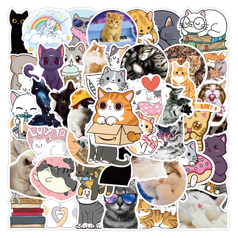 wzb-1017-cat