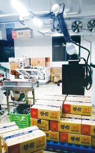 Sistema de recolección y colocación de celdas robóticas, máquina de embalaje automática para recoger y Poner bolsas flexibles - Product Image 5