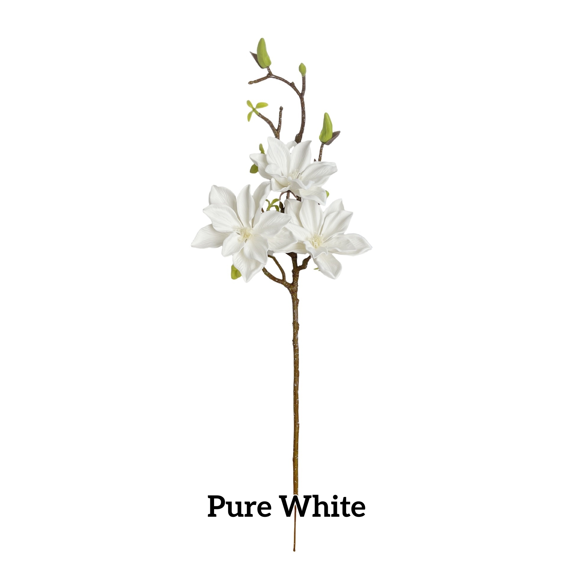 Blanc pur