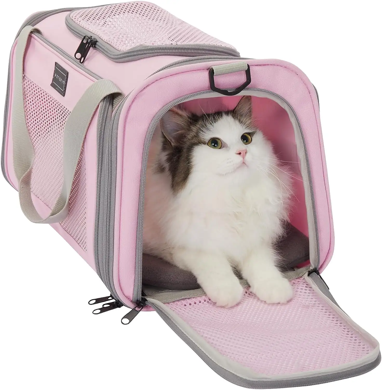 Bolsa de transporte de mascotas Rosa bonita personalizada de fábrica Material de PC de nailon ecológico cremallera suave portátil XL hombres mujeres bolsa de transporte perros