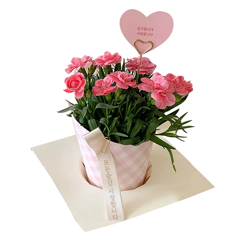 Корейский букет свежих цветов оберточная бумага водонепроницаемая подарочная упаковочная бумага для салфеток для флористов