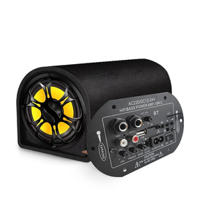Placa amplificadora de potencia AC/DC micrófono Dual 4 ohmios 6-10 pulgadas altavoces de coche Subwoofer para Audio 12/24V 110/220V salida para coche - Product Image 4